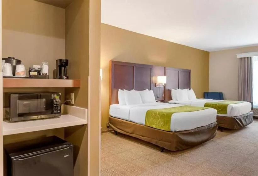 Otel Comfort Suites St George  University Area