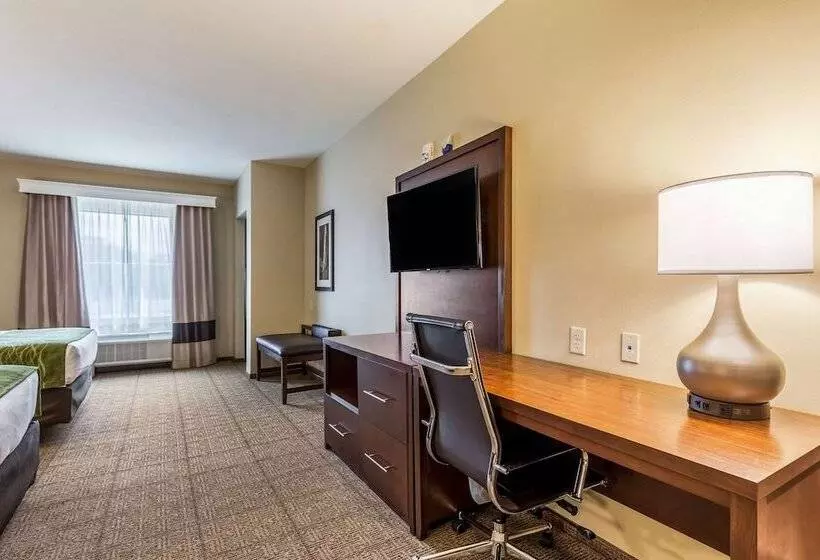 Otel Comfort Suites St George  University Area