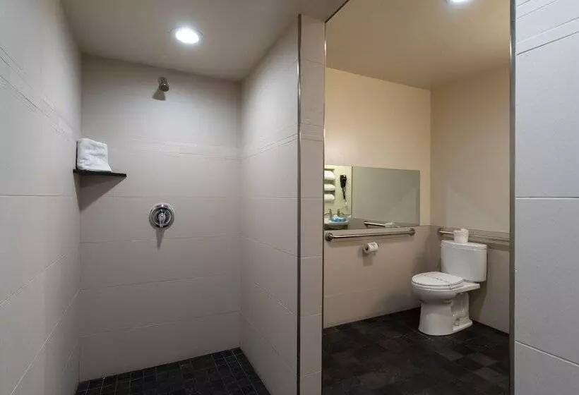 酒店 Lemon Tree Inn