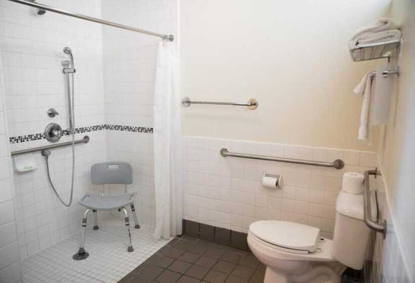 בית מלון כפרי Lemon Tree Inn