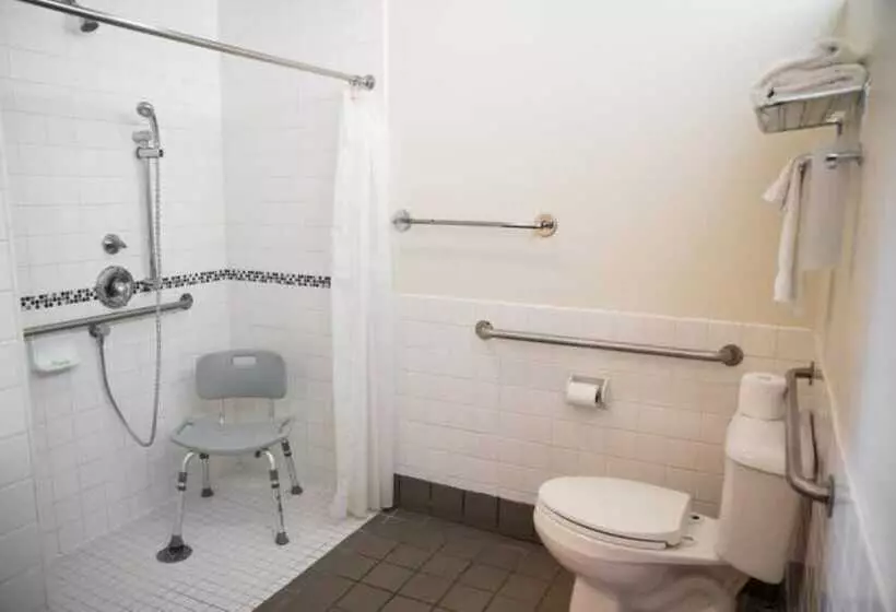 酒店 Lemon Tree Inn