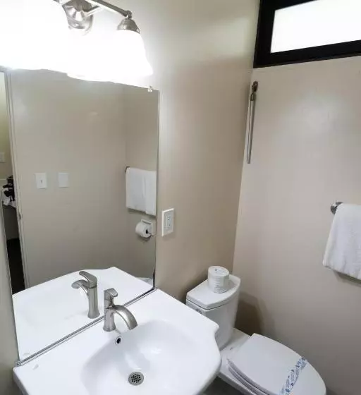 酒店 Lemon Tree Inn