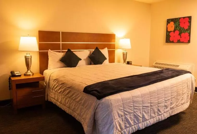 酒店 Lemon Tree Inn