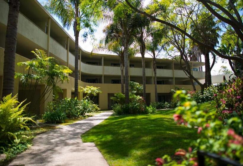 בית מלון כפרי Lemon Tree Inn