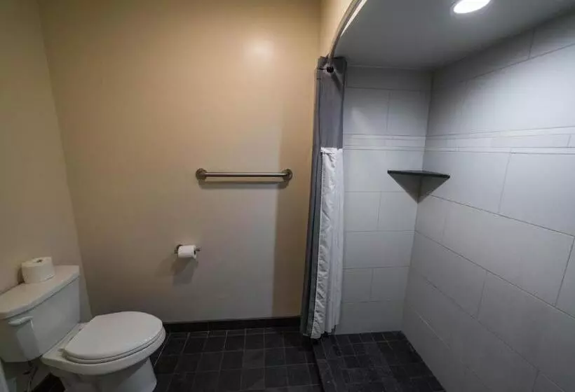 酒店 Lemon Tree Inn