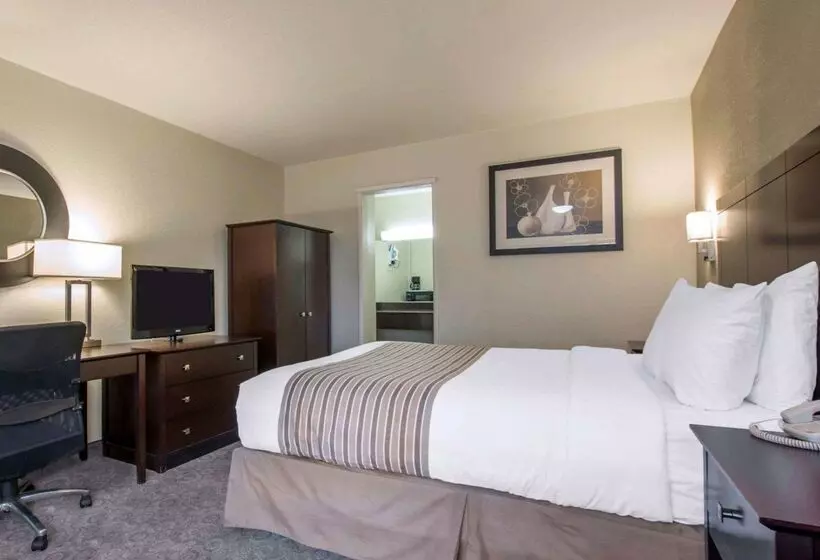 فندق Rodeway Inn Convention Center