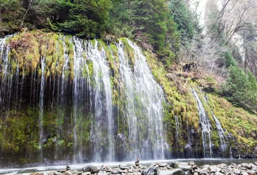 Hotel The Angler Lodge