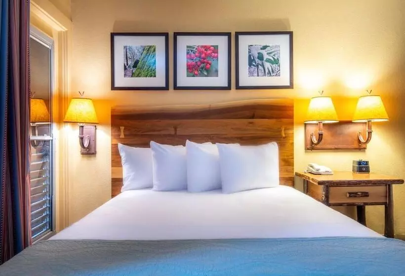 酒店 Yosemite Valley Lodge
