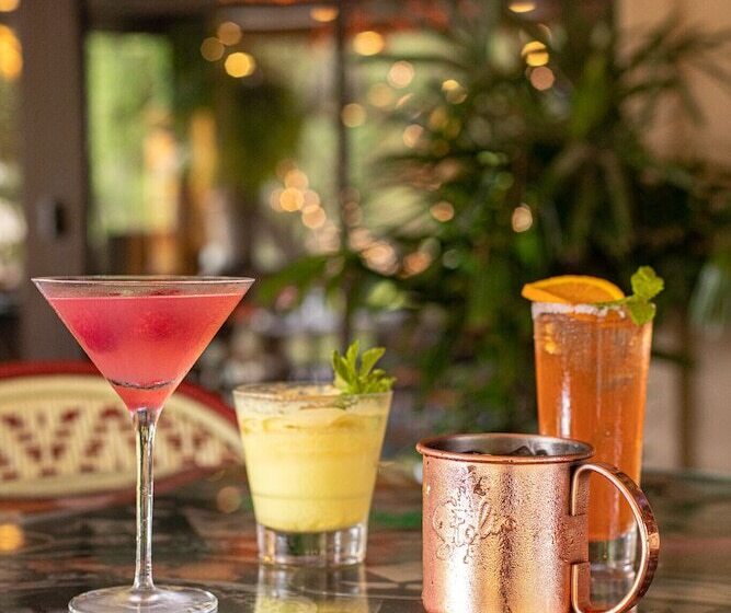 فندق Zaza Houston Museum District