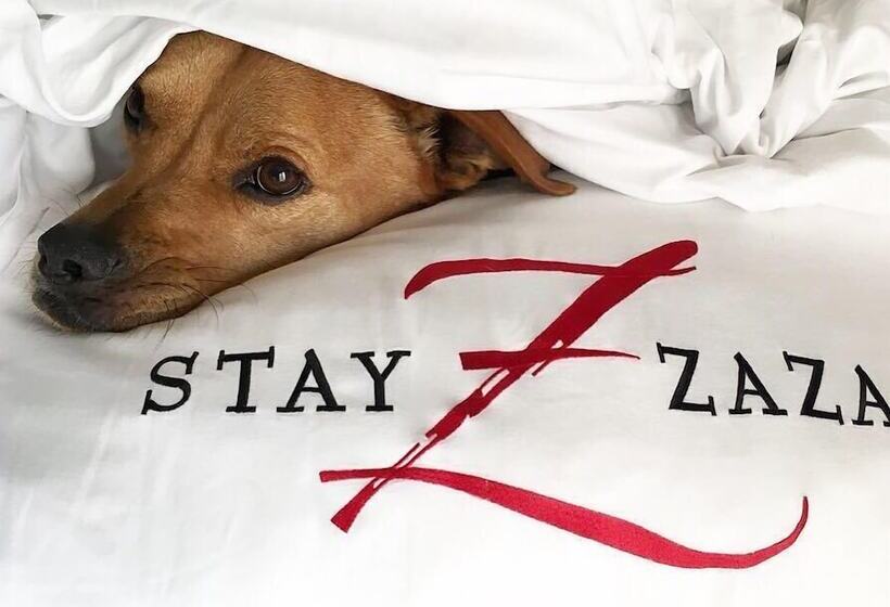 فندق Zaza Houston Museum District