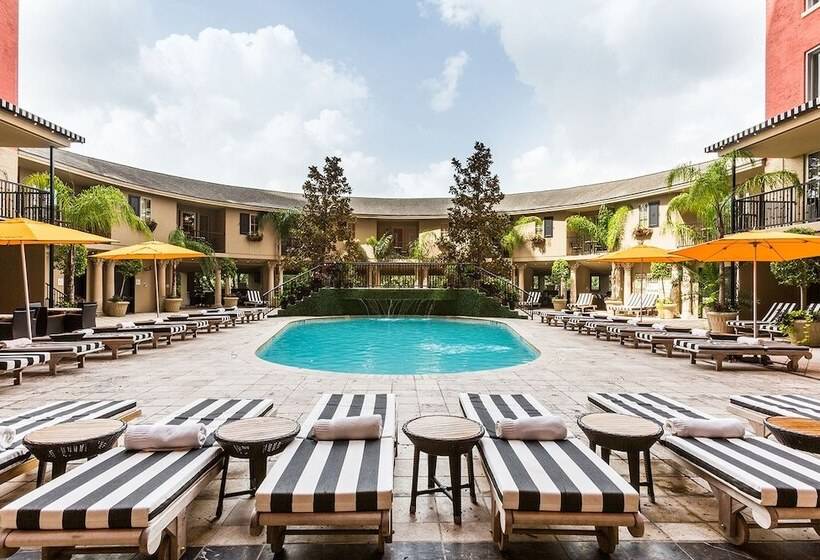 فندق Zaza Houston Museum District