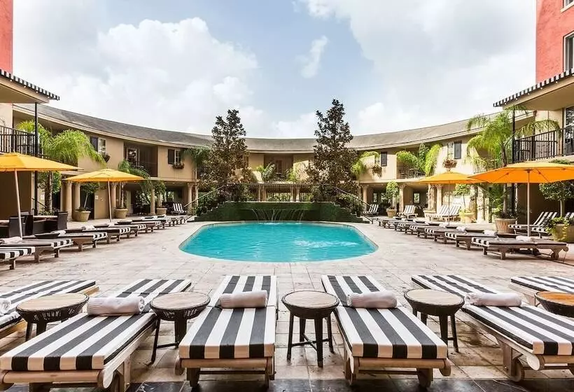 בית מלון כפרי Zaza Houston Museum District