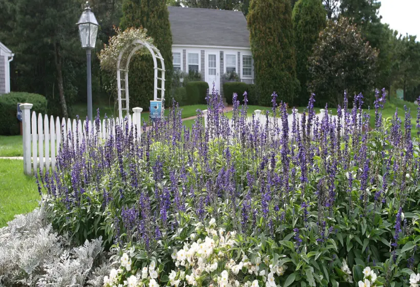 Wequassett Resort And Golf Club