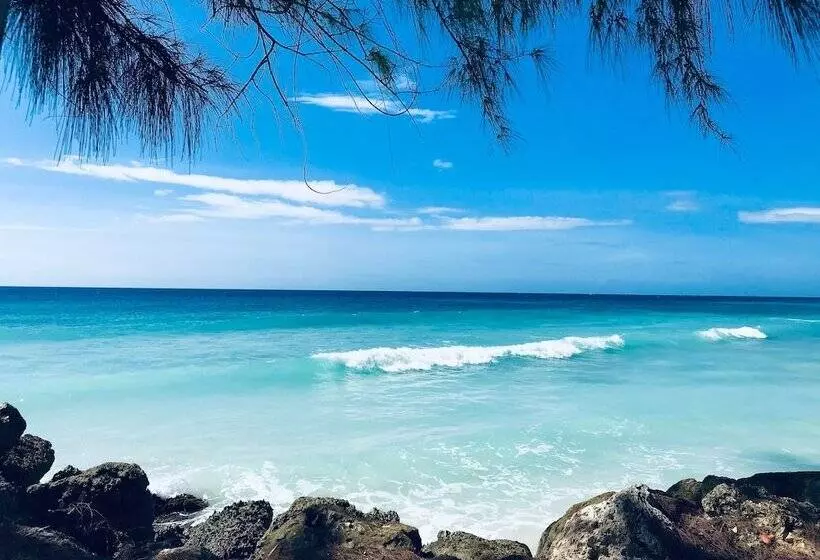 Divi Southwinds Beach Resort