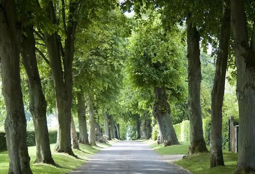 호텔 Hindsgavl Slot