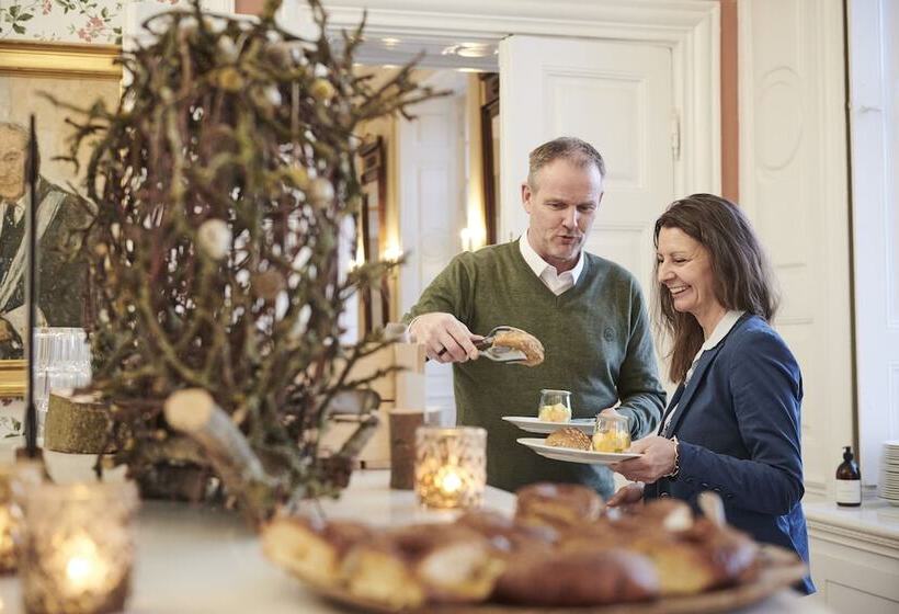 בית מלון כפרי Hindsgavl Slot