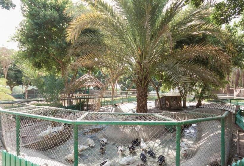 Jolie Ville Hotel & Spa Kings Island Luxor