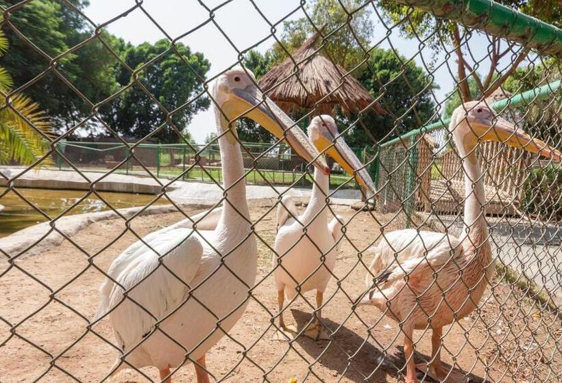 Jolie Ville Hotel & Spa Kings Island Luxor