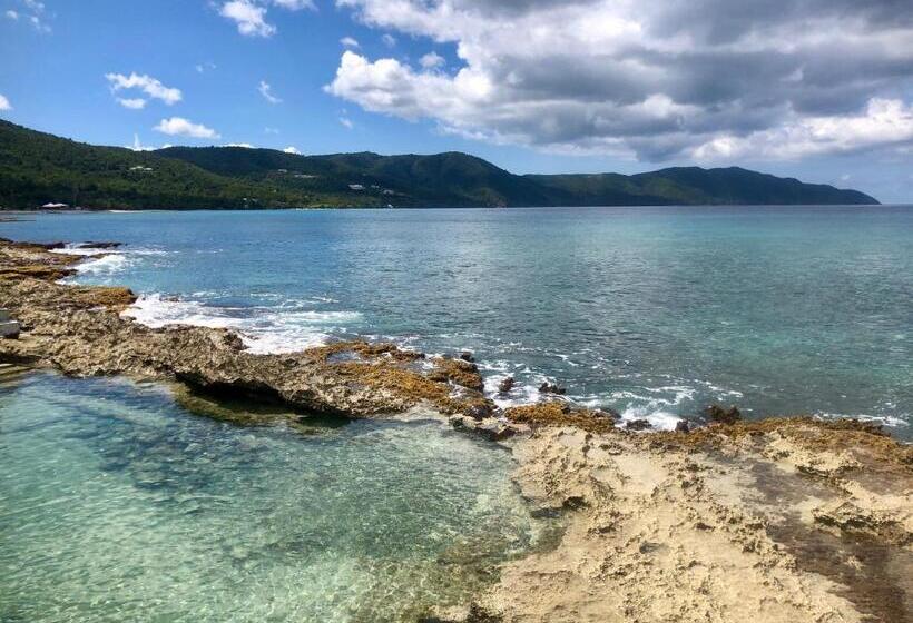 هتل The Waves At Cane Bay