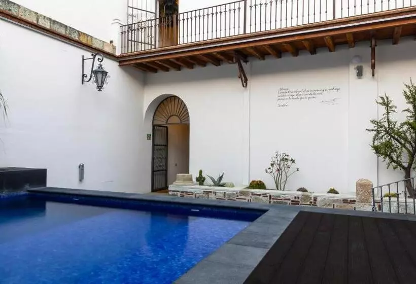 فندق فئة نجمة واحدة Boutique Naura Centro