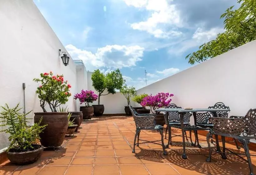 فندق فئة نجمة واحدة Boutique Naura Centro