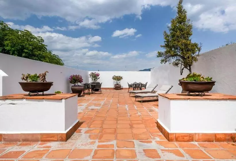 فندق فئة نجمة واحدة Boutique Naura Centro