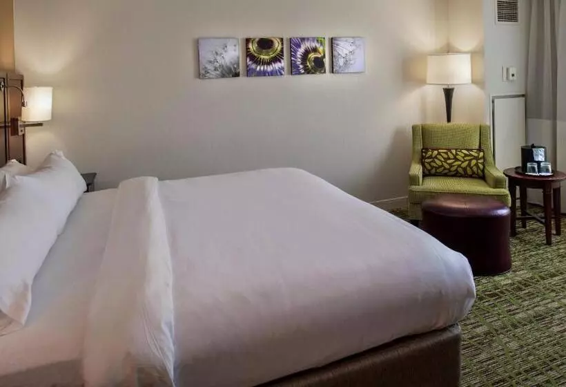 ホテル Marriott St. Louis West