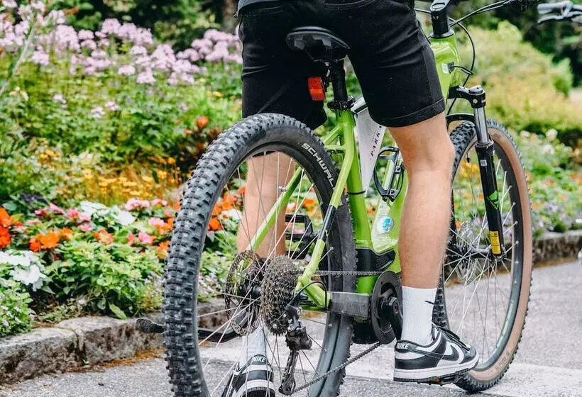 בית מלון כפרי Parks