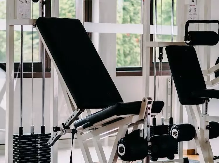 בית מלון כפרי Parks