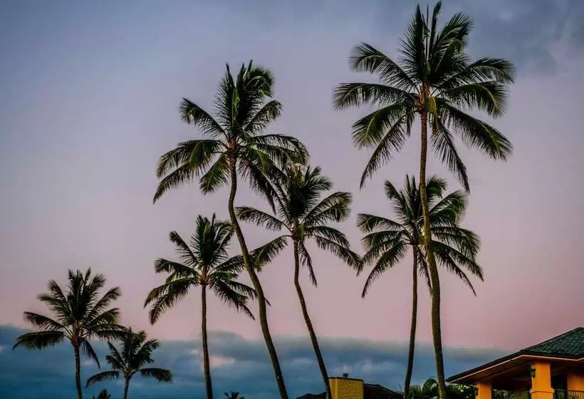 هتل The Ritz Carlton Maui, Kapalua