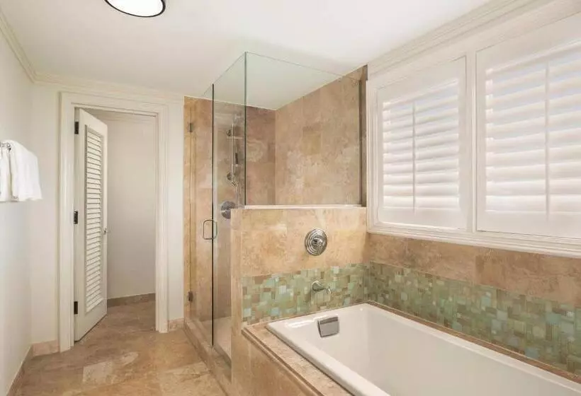 هتل The Ritz Carlton Maui, Kapalua