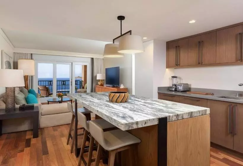 هتل The Ritz Carlton Maui, Kapalua