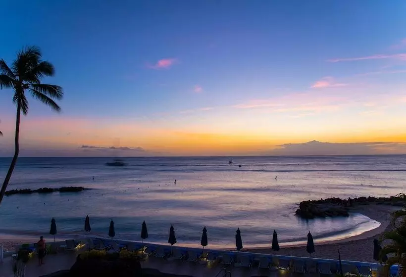 Crystal Cove By Elegant Hotels All Inclusive