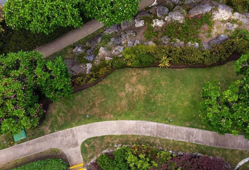 Crystal Cove By Elegant Hotels All Inclusive