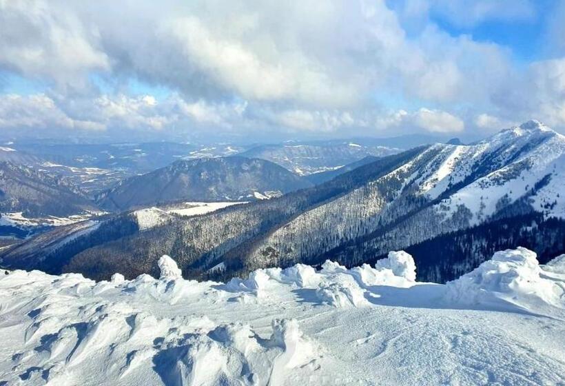 ホテル Pod Sokolím