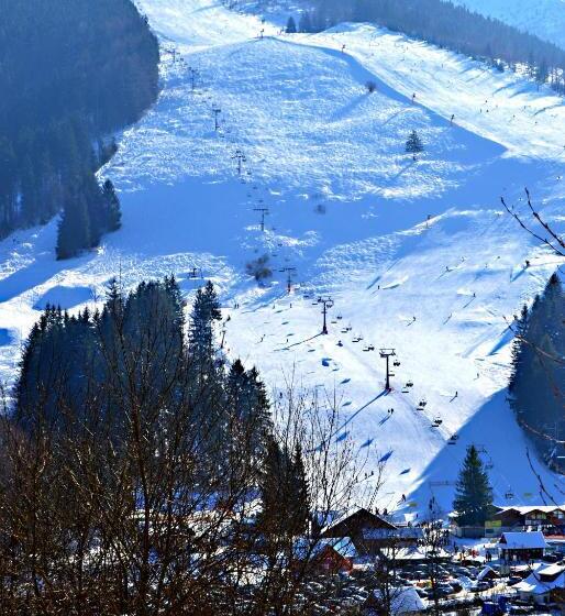 ホテル Pod Sokolím