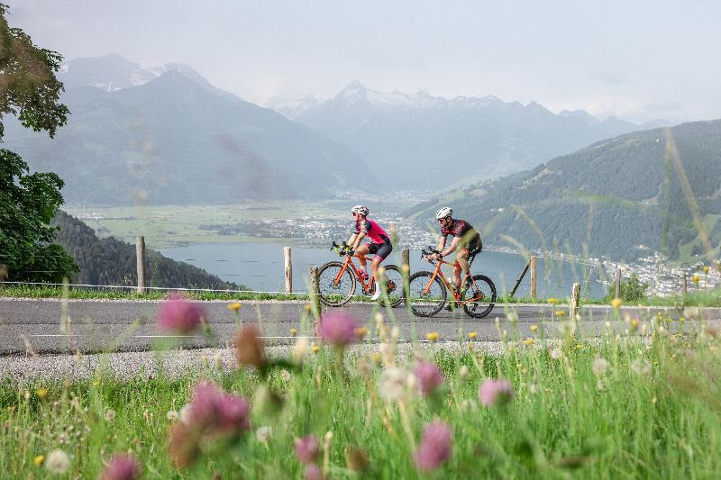 هتل Der Schutthof