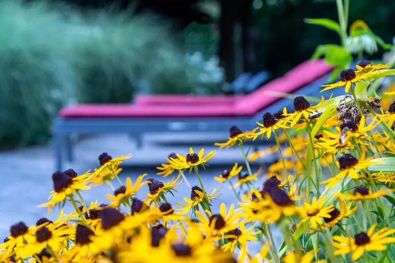 Отель Der Schutthof