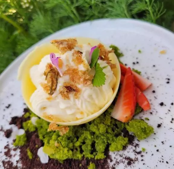 Отель Zámek Třešť