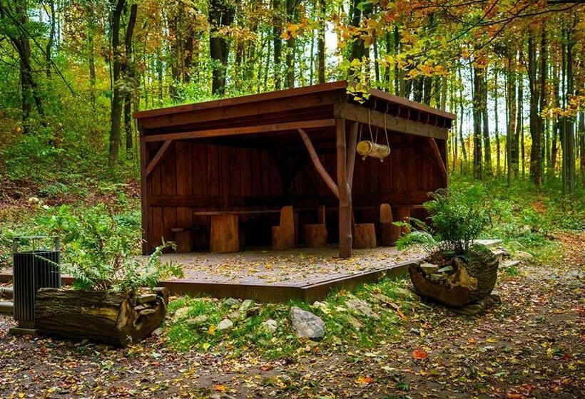 בית מלון כפרי Zámek Třešť