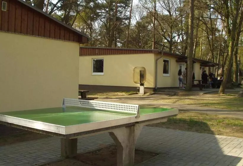 Отель Hostel Schweriner See