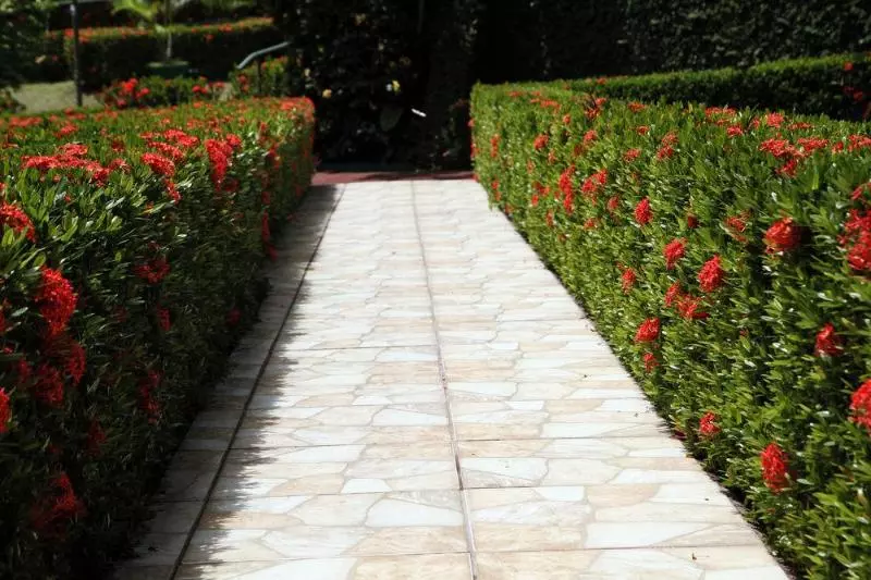 ホテル Nahomi Divisamar By Lhr