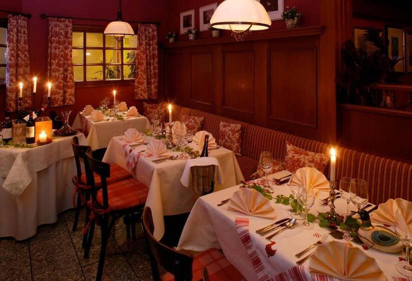 Ringhotel Hotel Zum Stein