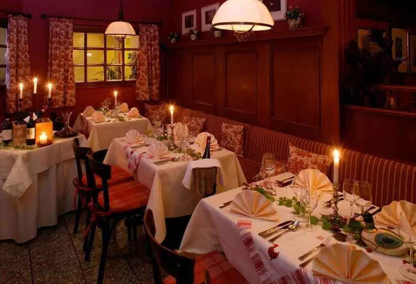 Ringhotel Hotel Zum Stein