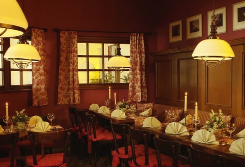 Ringhotel Hotel Zum Stein