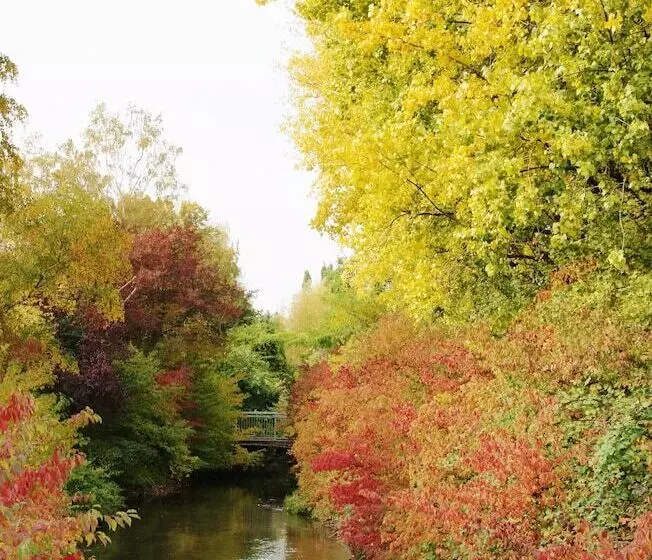 Taste Hotel Hockenheim