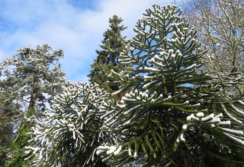 هتل Pitlochry Dundarach