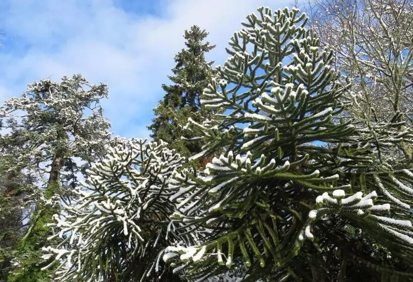 Hotel Pitlochry Dundarach