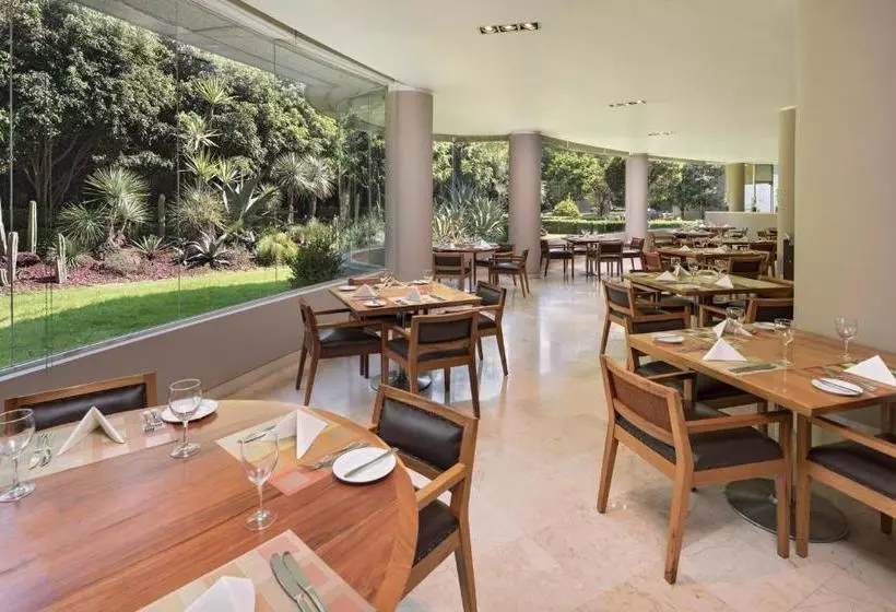 ホテル Sheraton Mexico City Santa Fe