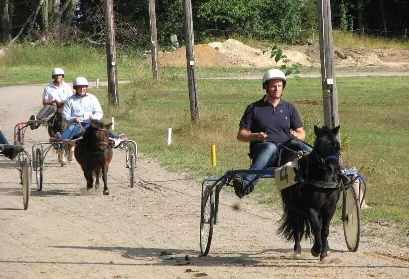 Отель Skytteholm